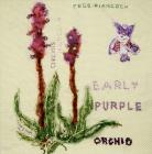 Early-purple Orchid by Zena James
