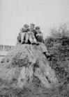 Newcastle Emlyn people in the 1950s