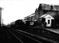 Wyndham Railway Halt