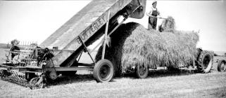 29 Butterley green-crop loader, 1951
