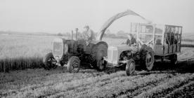 33 Tractor Oliver a Ferguson yn torri ac yn...