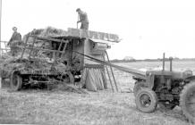 Threshing at Pantyrhuad, 1951