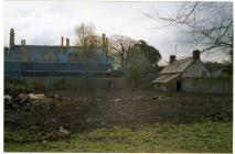 Physic Garden, Cowbridge, site clearance 2004 