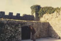 Old Hall grounds, Cowbridge, west wall tunnel...