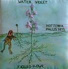 Water Violet, Diane Davies