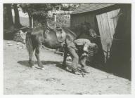 Shoeing a Horse, Nantllwyd 