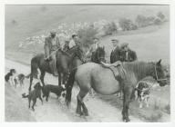 Gathering Sheep on Horseback