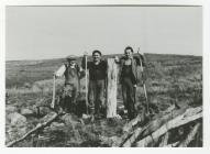 Three Forest Workers