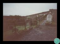 Photographs of the old Jewish Cemetery, Swansea...