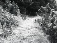 Footpath arriving to Graigfachddu Cottages