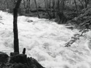 River Dulas in flood over the "stream"