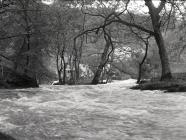 River Dulas in flood over the "stream"