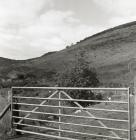 Old Bridleway Track, Tal-y-llyn Pass from...