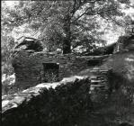 Side Shot of Ruined Farm House