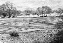 Dare Valley Country Park