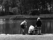 The Lake at Aberdare Park