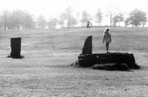 Gorsedd Stones in Aberdare Park