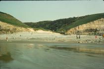 Cwm Nash shore, nr Llantwit Major 1976  