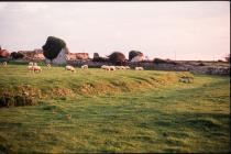 The Grange, Monknash, nr Llantwit Major 1998  