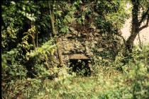 Gelligarn dovecot, near Llangan  