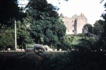 Beaupre castle, nr Cowbridge 1989  