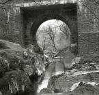 Ceinws/ Esgairgeiliog under Evans Bridge