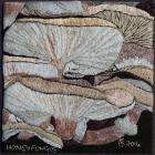 Honey Fungus by Brenda Caldicott