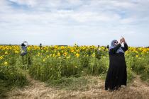 “Sunflowers and Selfies”, Rhossili, Gower –...
