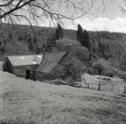 Penlan Farm, Dyfi Forest, near Ceinws /...