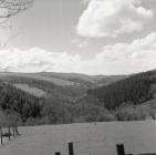 Dyfi valley,  near Ceinws / Esgairgeiliog