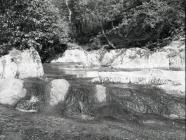 Aber Glesyrch, Ceinws / Esgairgeiliog, May 2004