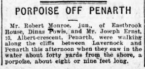 Porpoise off Penarth - Article from the Evening...