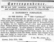 A Dangerous Companion - Correspondence to The...
