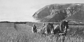Harvesting above Ceibwr c1950 and 2014
