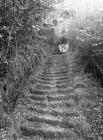 "Roman Steps" on the "Owain...