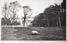 Porthkerry Park, Barry.