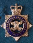 Carmarthen and Cardigan Police