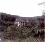 Drainllwydion Pantperthog 1950s