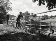 Ray Gunn, Ffriddgate, Machynlleth