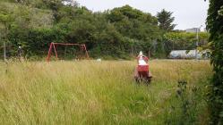 Natur yn cymryd drosodd, maes chwarae Aberdaron...