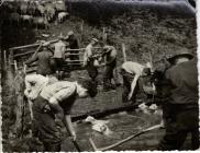 Sheep washing, Cwmlicky, Pontypool