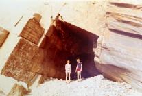 Potential Sperm Whales Sighting 1970s