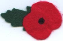 Poppies for Remeberence Day, 2020