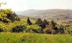 Ebbw Vale (Glyn Ebwy), Monmouthshire