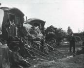 Gypsy Travellers camped by Llanbadoc Church...