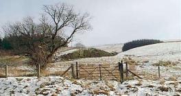 Snow Scene near Fan Gyhirych Brecon Beacons,...