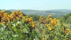 Across the Swansea Valley Near Ystradgynlais...