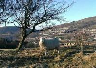 Cwmafan (Cwmavon), Afan Valley, Glamorgan