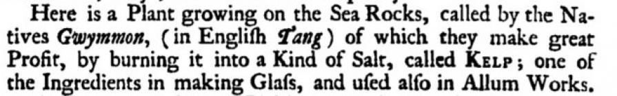 Kelp at Holyhead. Extract from Morris, L., 1748...