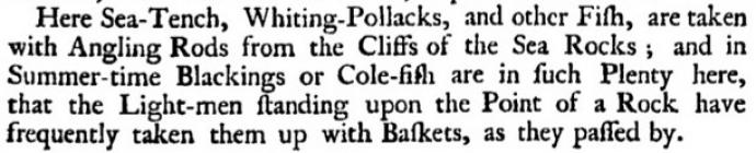 Fishing at Skerry Lighthouse. Extract from...